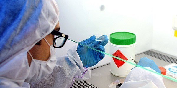 Ebola virüsünü teşhis eden test geliştirildi