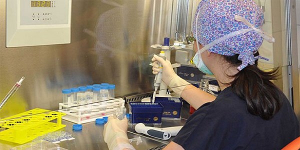 Laboratuvarda ilk kez i�levsel bir organ �retildi