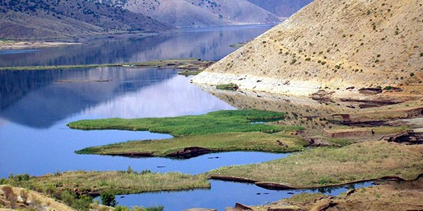 Y�zen adalar karaya oturdu