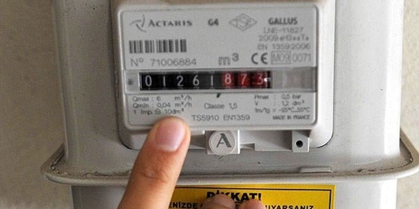 Do�algazda ball� re�elli kurnazl�k