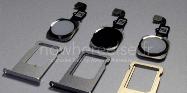 iPhone 6'nın renkleri belli oldu