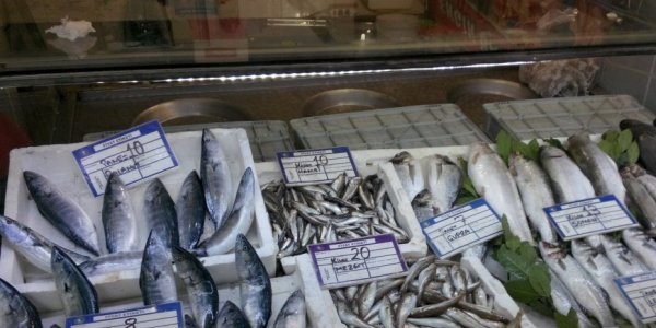 Fırtına çingene palamudun fiyatını artırdı