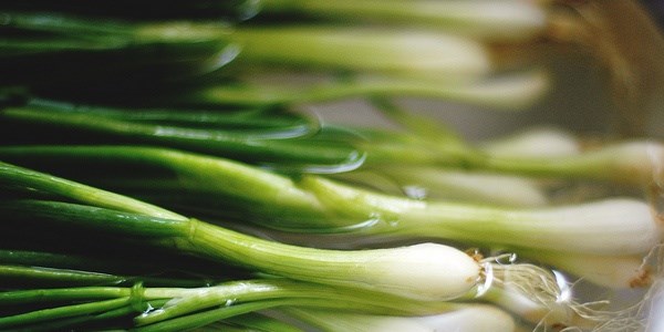 Markette zam �ampiyonu ye�il so�an