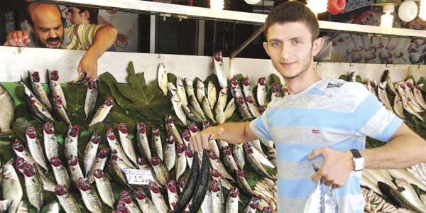 Hamsinin fiyatı 3 liraya kadar düşecek