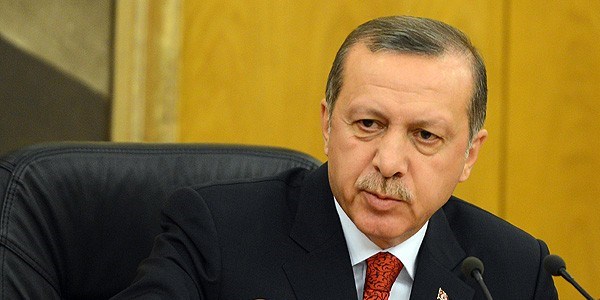 Erdoan: 2015 silahlara veda yl