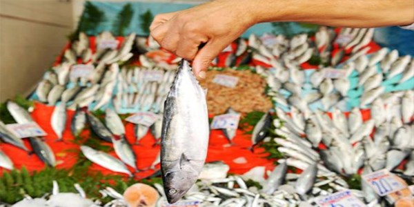 Palamudun tanesi tezgahta 2,5 liraya düştü