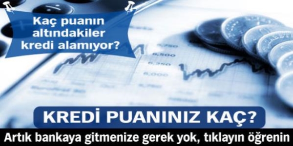 Kredi notu artık internetten görülebilecek