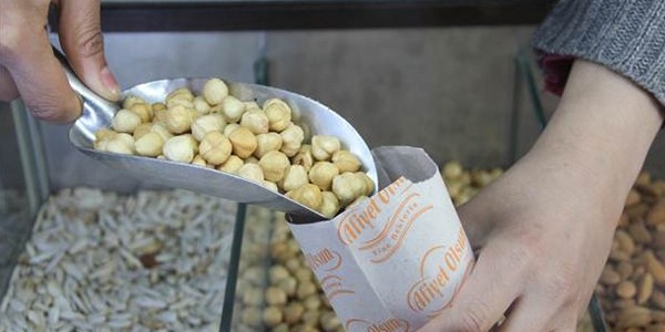 Fındık alım fiyatı 15 liraya ulaştı