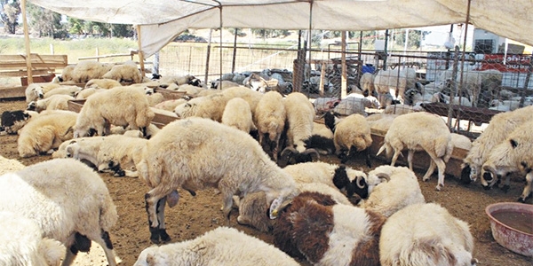 Bankaların bayram kredisi yarışı