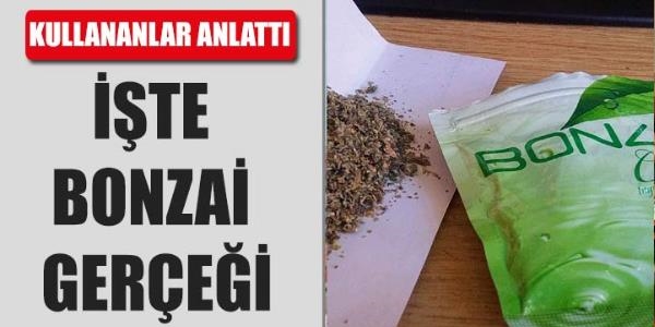 İşte Bonzai gerçeği