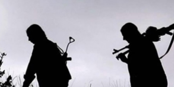 Hakkari'de 2 PKK'l teslim oldu