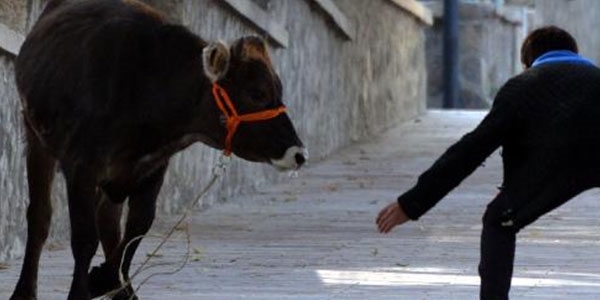 Yurttan bayram manzaralar�