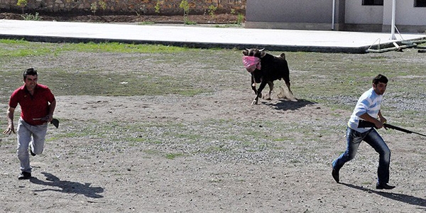 Ka�an bo�a 7 uyu�turucu i�neyle yakalanabildi