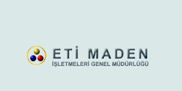 Danıştay: Amir yardımcısı memur yapılamaz