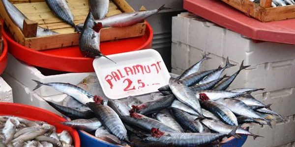 Palamut fiyatları 2.5 liraya kadar düştü