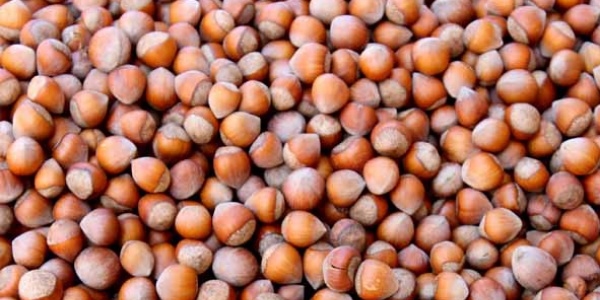 T�rk f�nd���nda do�ru bilinen yanl��lar