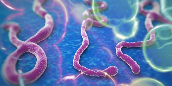 MERS alarmı: Riskli kişiler tespit edildi
