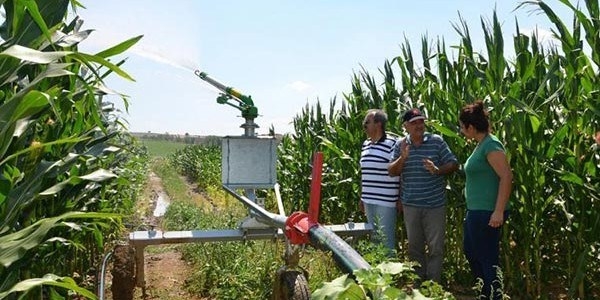 Tarım Kredi'ye 140 ziraat mühendisi alınacak