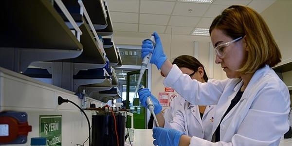 '�la�ta Ar-Ge at�l�m� �art'