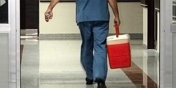 Türkiye'de 24 bin hasta organ nakli belkiyor