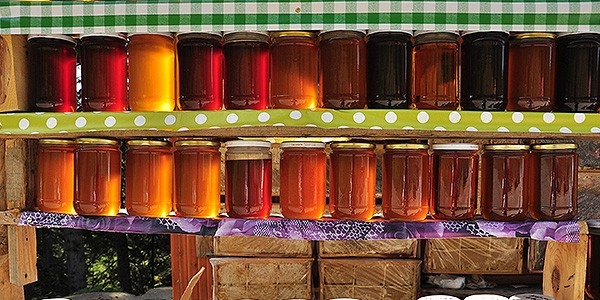 Me�e bal� hastal�klardan 'korunma' kalkan�