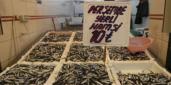 Yerli hamsi borsa gibi