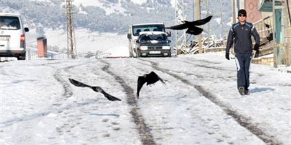 Kars ve Ağrı'da kar yağışı