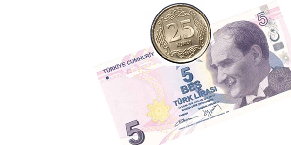 Şerh düşerek ödediği 5 TL'lik banka masrafını iade ettirdi