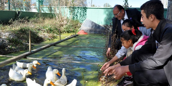 Bu okulda hayvan sevgisi �iddeti yendi