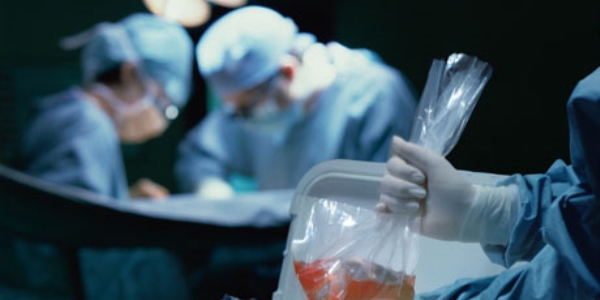 'Organ bağışı farkındalığı artırılmalı'