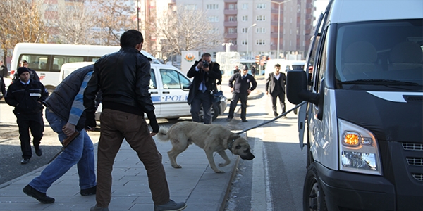Kuduz köpek 4 öğrenciyi ısırdı!