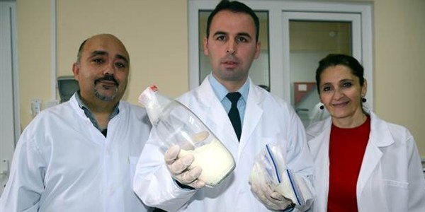 Eşek sütü kanserli hücreleri yüzde 50 oranında öldürüyor