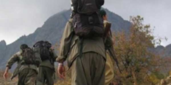3 PKK'lı teslim oldu