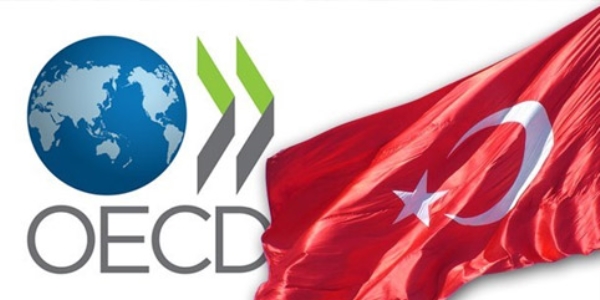 OECD: Türkiye 2015'te yüzde 3,2 büyüyecek