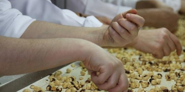 Don vurdu, üretim azaldı, fındık yağı fiyatı uçtu