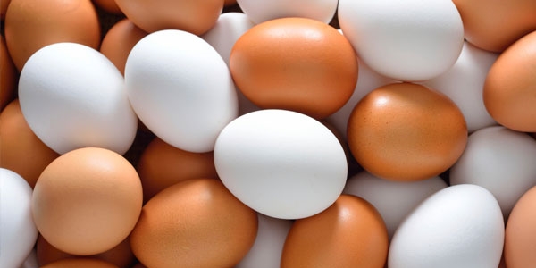 Bakanl�ktan 'yumurta' hamlesi