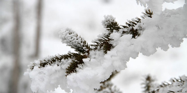 Meteoroloji uyardı: Kar geliyor!