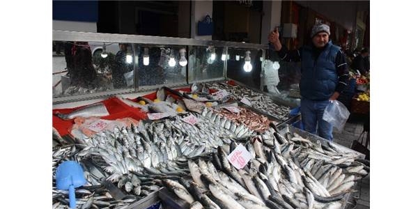 Balık fiyatları el yakıyor