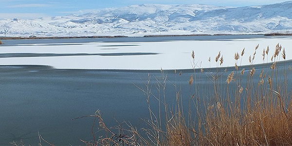 Doğu'da Sibirya soğukları