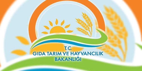 91 takviye edici gıda onaylandı