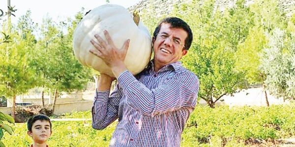 Bakan Zeybek�i: 7 ya��nda t�t�n tarlas�na girdim