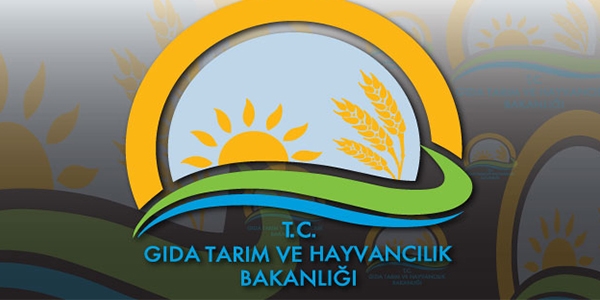 10 yılda 1 milyon 900 bin kadın çiftçiye eğitim verildi