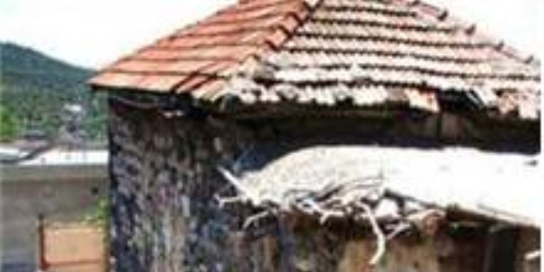 514 köyde kanser alarmı