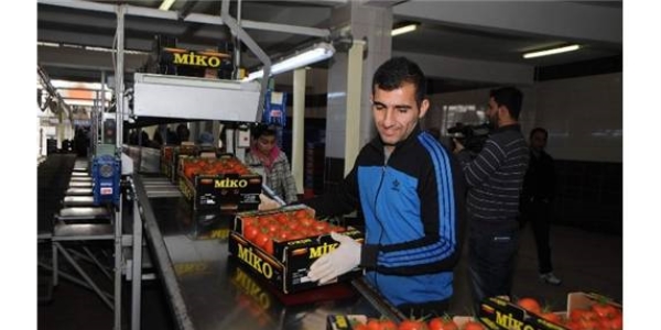 Antalya halinde kış mesaisi