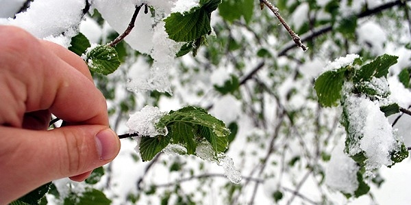 Meteorolojiden zirai don uyarısı