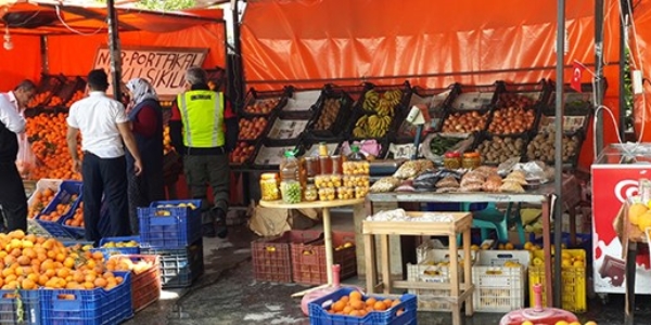 Ayda 8 bin lira kazandıran vitaminli iş!