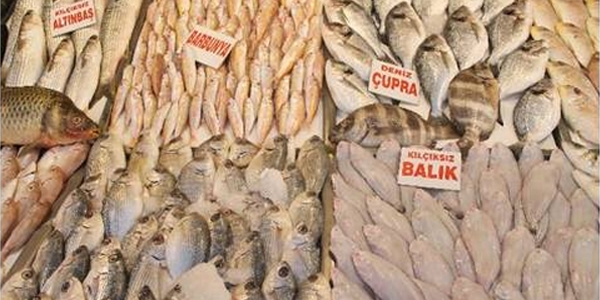 Havaların ısınmasıyla balık fiyatları yarı yarıya düştü