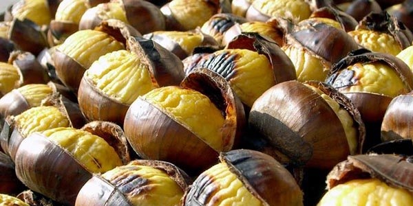 Kestane fiyatları yüzde 50'den fazla arttı