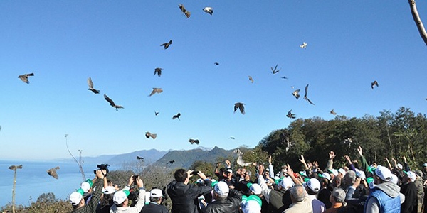 2014'te doaya 91 bin ku salnd