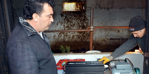 Hayvan damında elektrik üretti